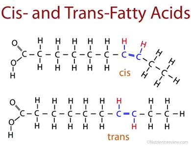 Los ácidos grasos, el total de trans